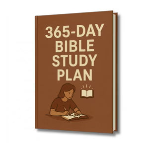 Study Plan